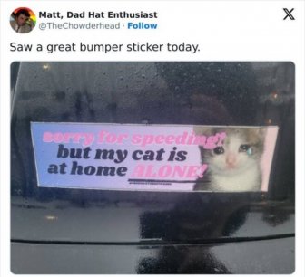 Funny Bumper Stickers