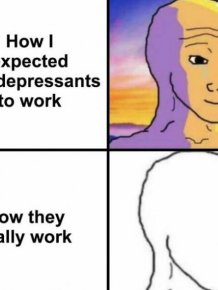 Memes About Psychology