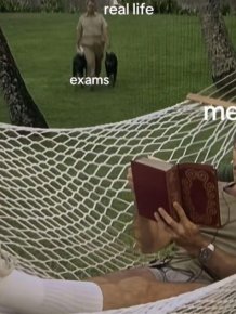 Posts And Photos For A Good Mood