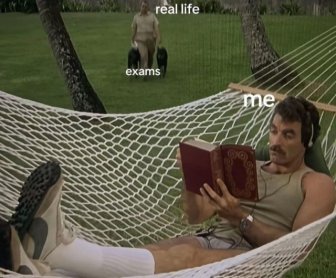 Posts And Photos For A Good Mood