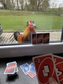 What Is Going On Here?