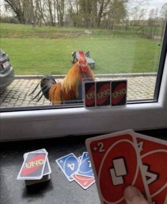 What Is Going On Here?