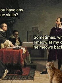 Photos And Memes For Cats Lovers