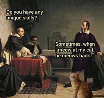 Photos And Memes For Cats Lovers