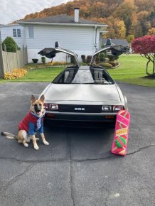 Jokes And Photos For A Good Mood