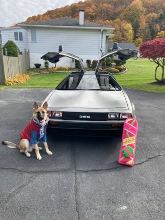 Jokes And Photos For A Good Mood