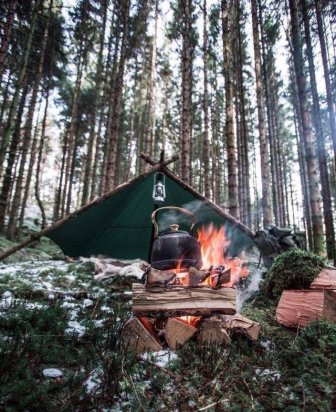 Atmospheric Bushcraft Photos