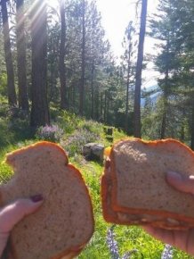 Photos For A Good Mood