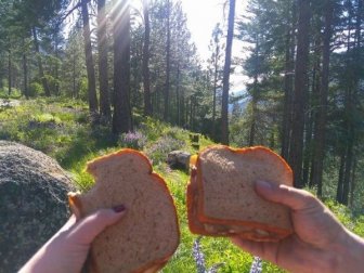 Photos For A Good Mood