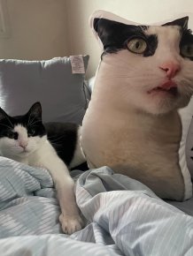 Strange Things And Finds