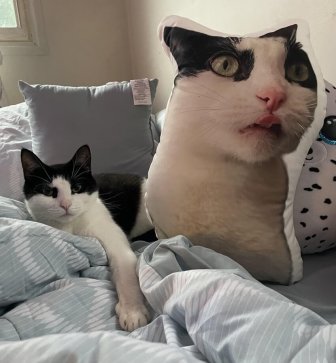 Strange Things And Finds