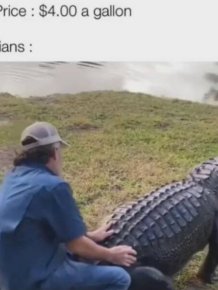 Memes About Gasoline Price