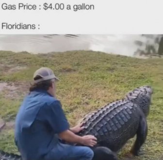 Memes About Gasoline Price