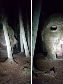 Strange Finds In The Forests
