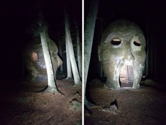 Strange Finds In The Forests