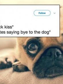 Honestly About Family Life