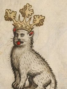 Medieval Cats