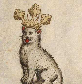 Medieval Cats