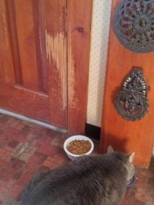 Time Changes Everything