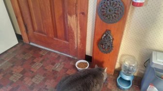 Time Changes Everything