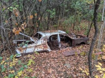 Unexpected Finds In The Forests